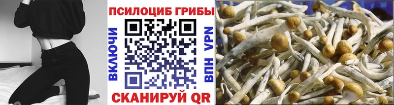 Галлюциногенные грибы Cubensis  Дмитриев 